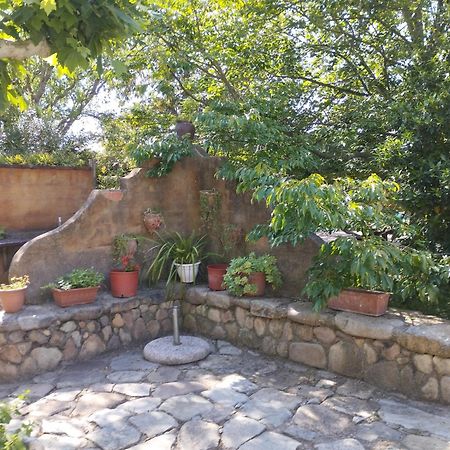 Casa Rural Can Jepet Ла-Сельера-де-Тер Экстерьер фото